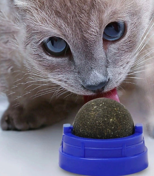 Rotatable Pet Catnip Ball Wall Toys