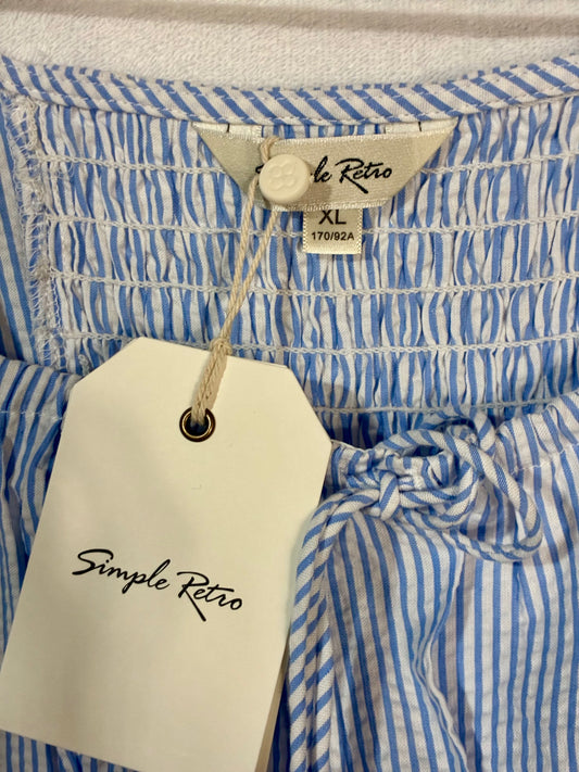 Simple REtro - Blue Gingham Dress