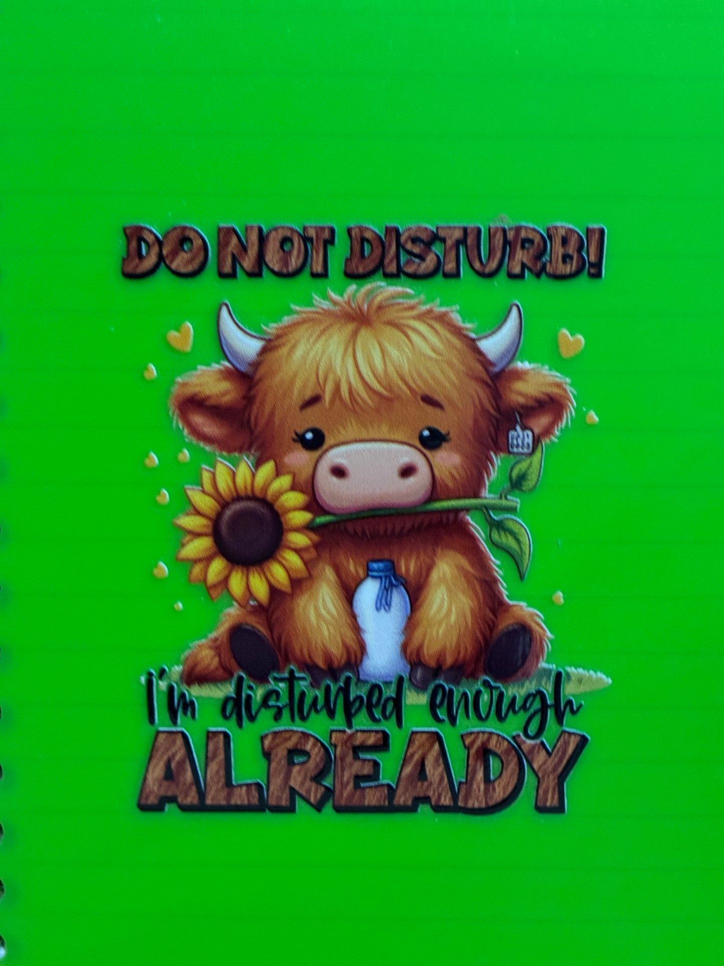 Sassy Personal Notebooks