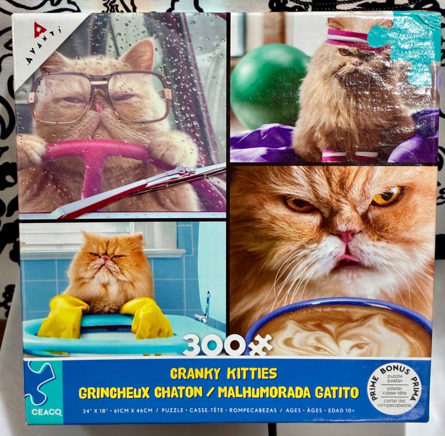 300 Piece Puzzles Only $3