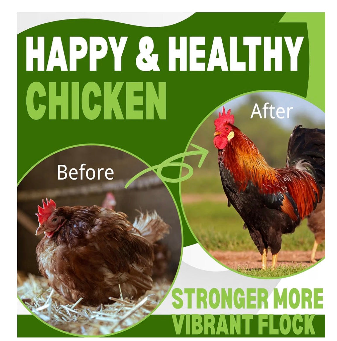 Dewormer for Chickens, Fenbendazole Broad Spectrum All-Worm Formula