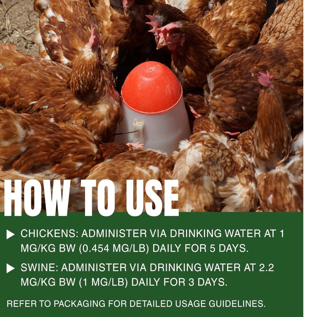 Dewormer for Chickens, Fenbendazole Broad Spectrum All-Worm Formula