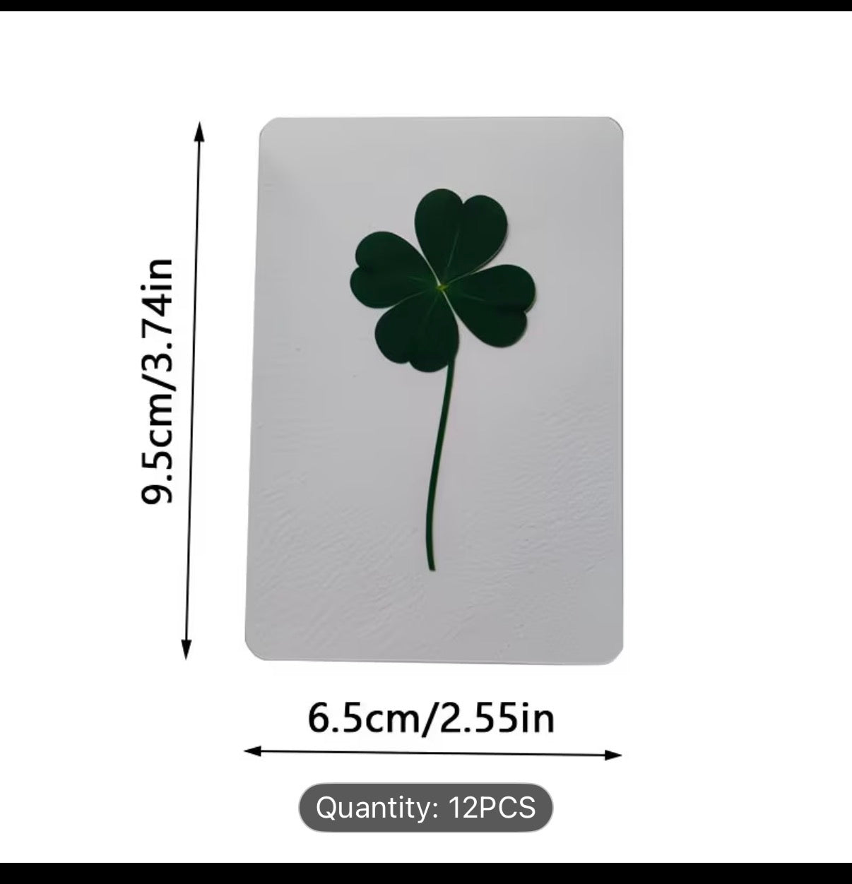 4 Leaf Clover Card