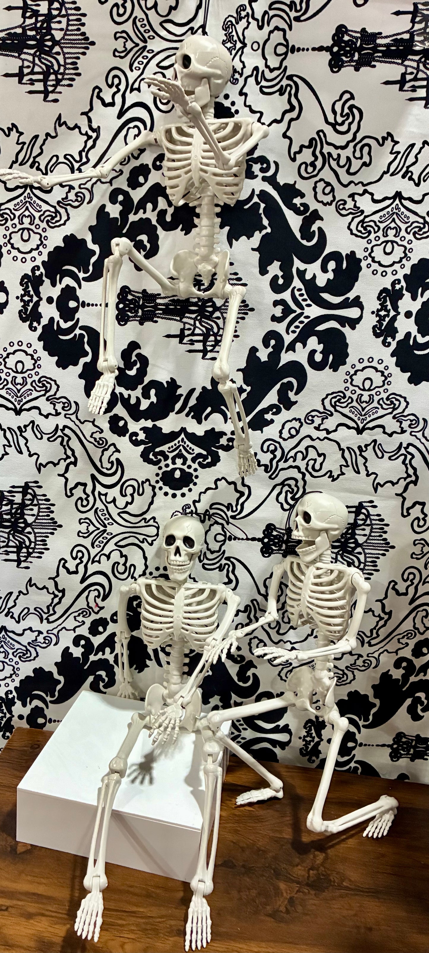 16'' Posable Skelton