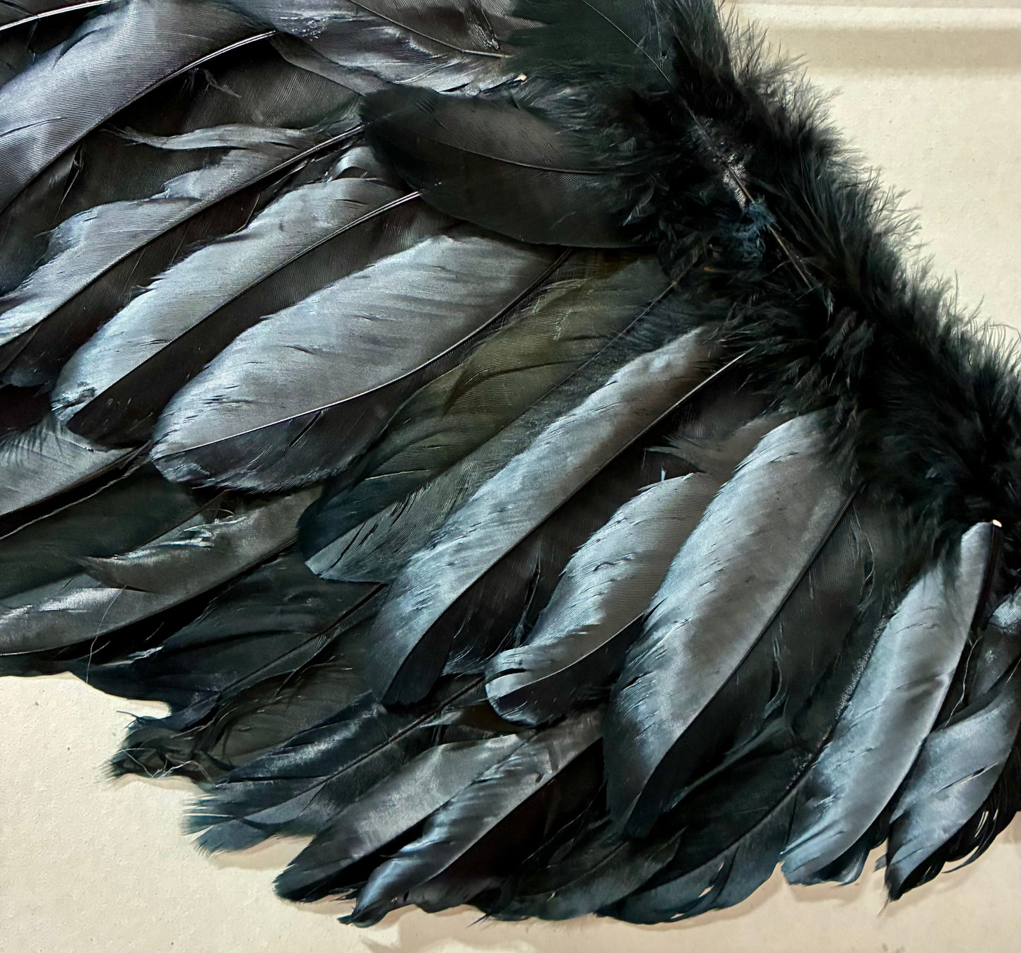 Black Feather Costume Wings, for raven, crow, or dark angel wings.