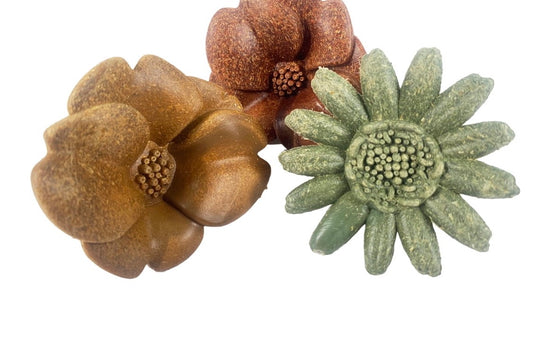 Flower Garden Natural Chews 3 Pack for Small Animals