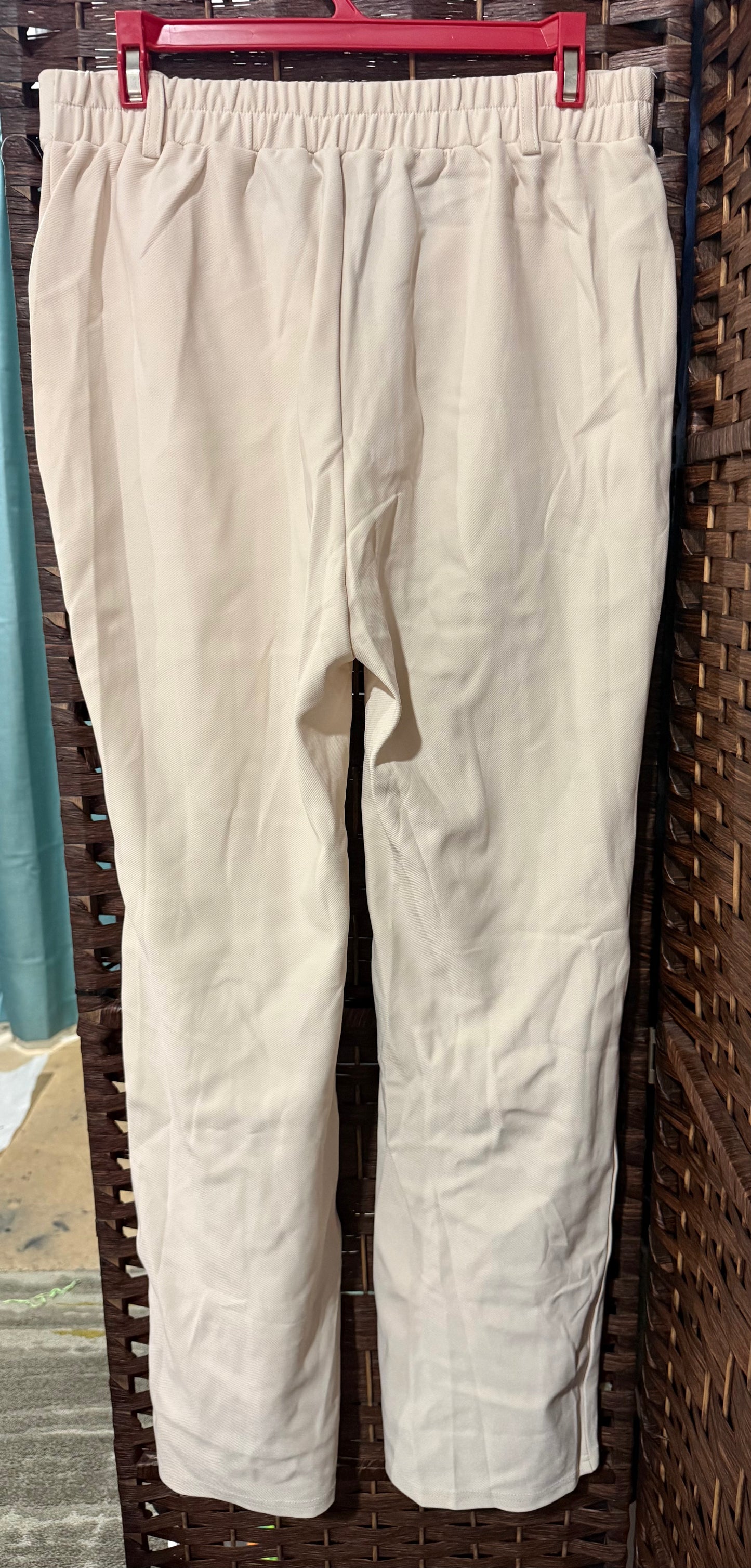 Pleated Pants