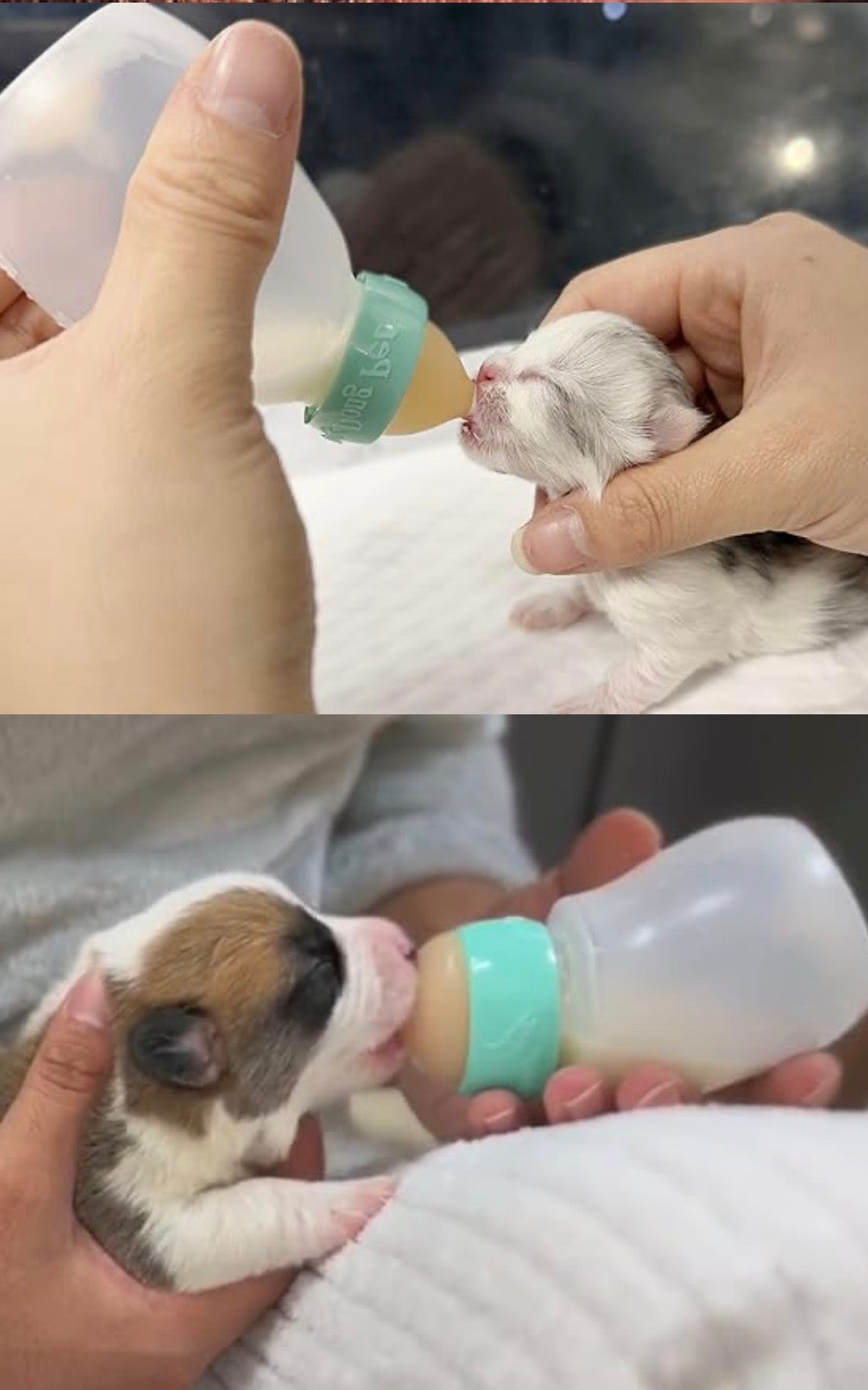 PET FEEDER BOTTLE , SILICONE FEEDING NIPPLE/SYRINGE