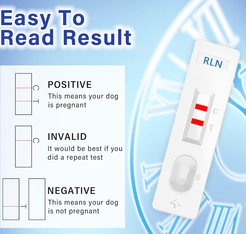 DOGS @ CATS PREGNANCY TEST