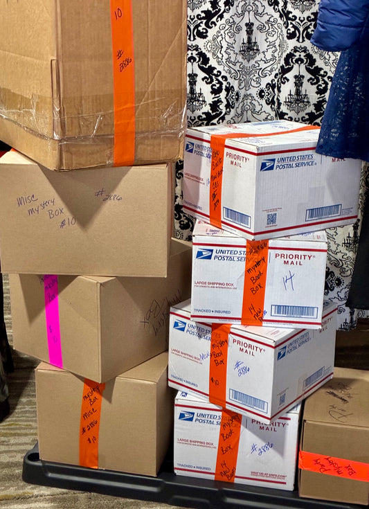 $10 MYSTERY BOXES