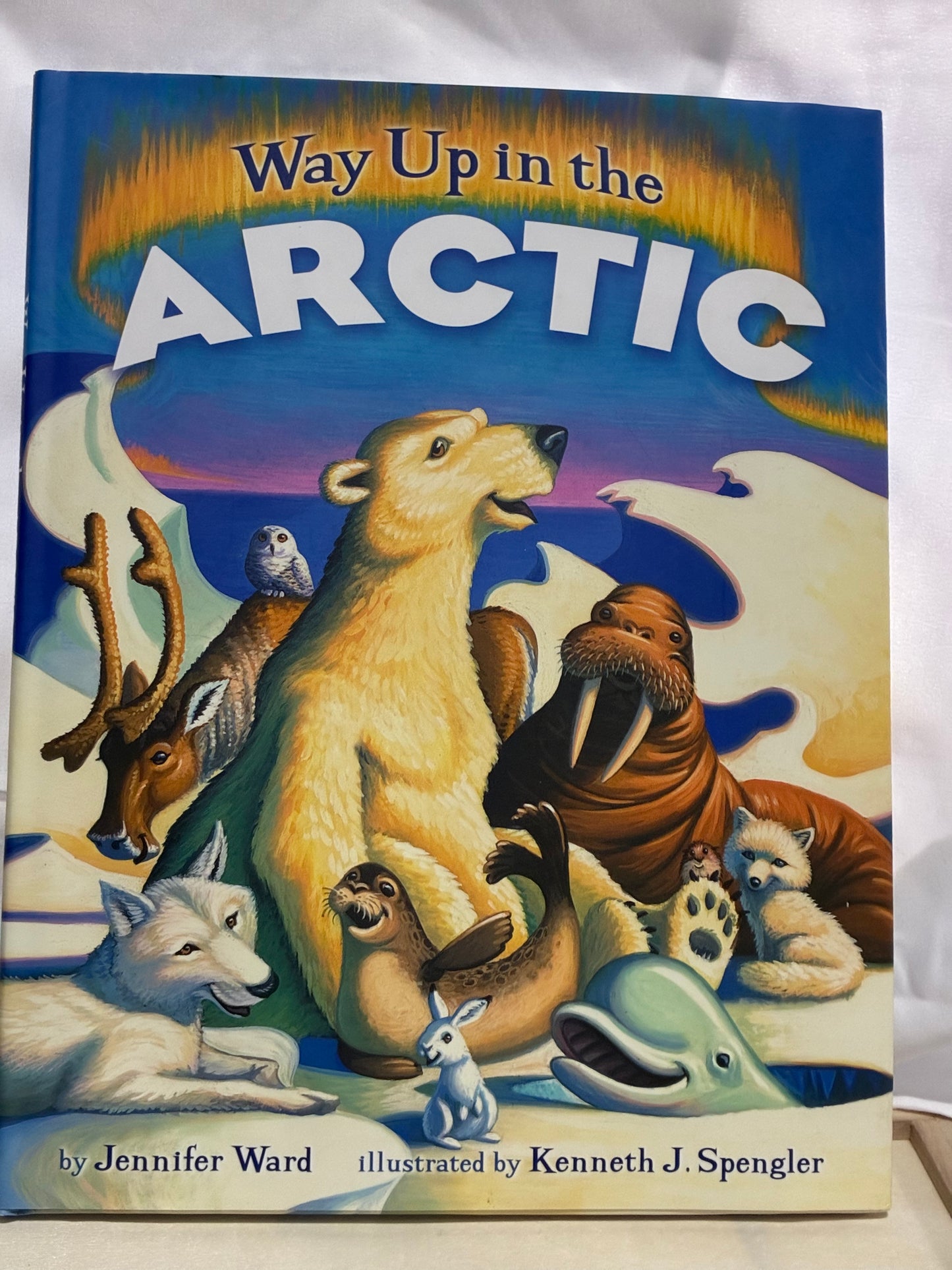 VARIOUS NEW BOOKS
