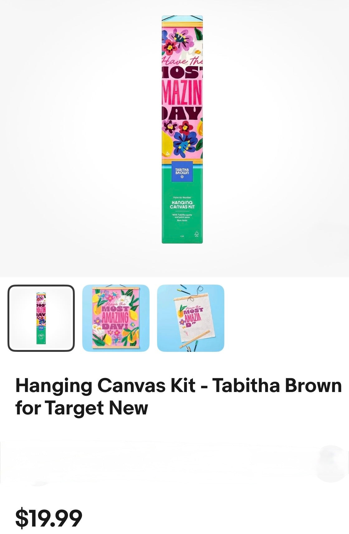 TABITHA BROWN PAINT BY NUMBER HANGING CANVAS KIT