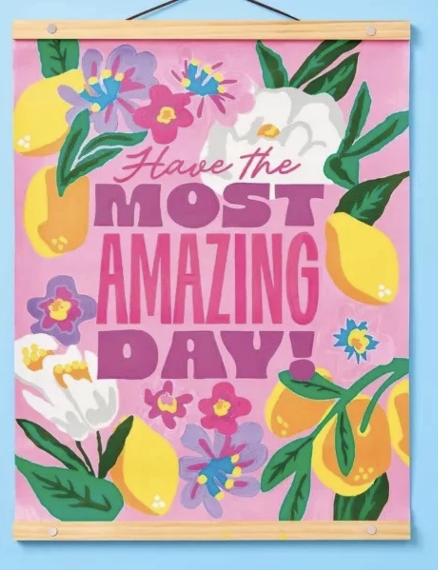 TABITHA BROWN PAINT BY NUMBER HANGING CANVAS KIT