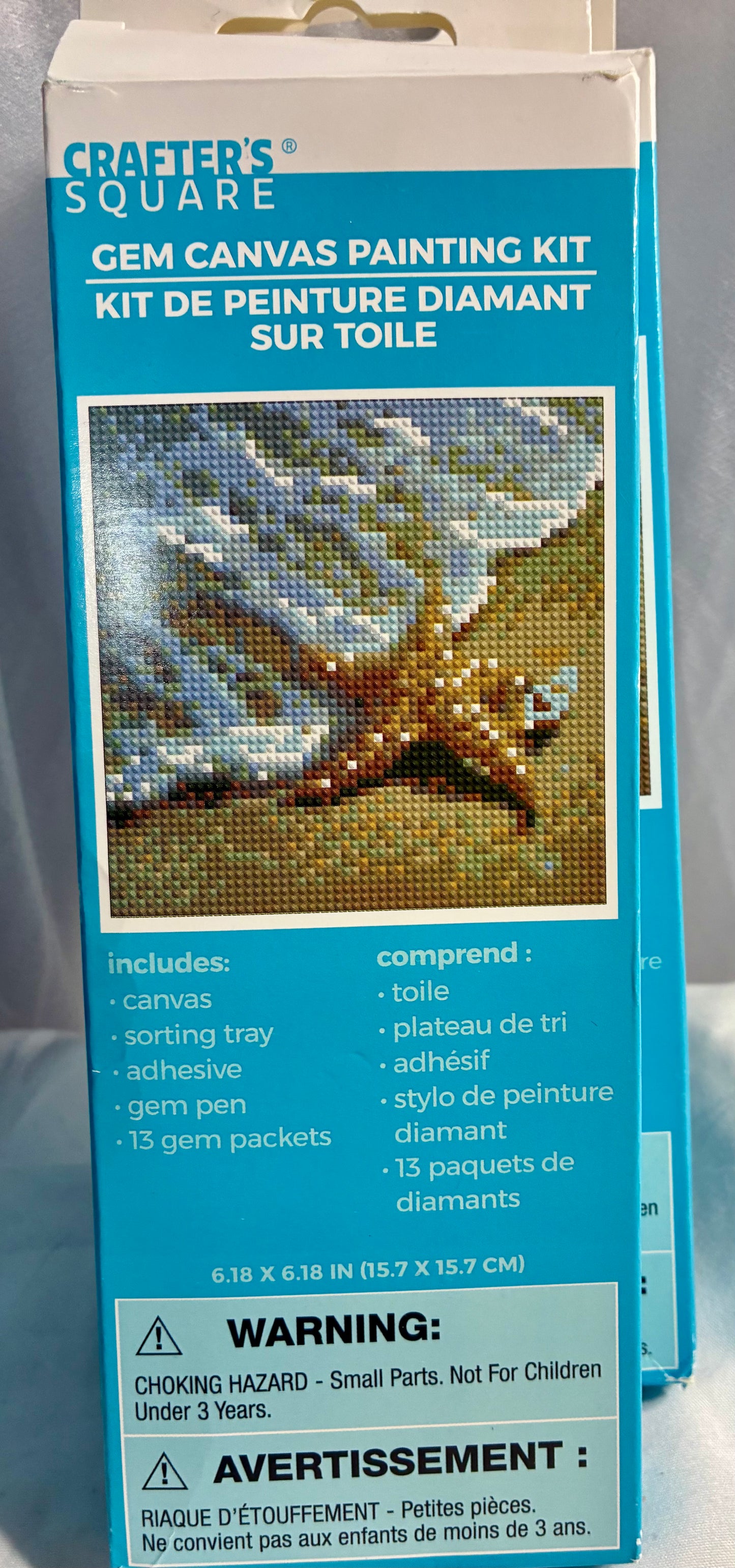 Crafter's Square Gem Canvas Painting Kit
