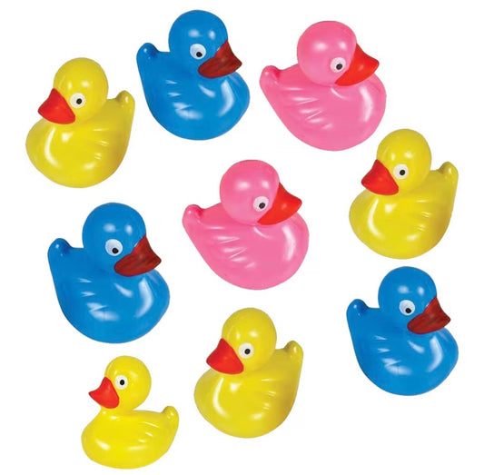 48 WEIGHTED FUN DUCKS