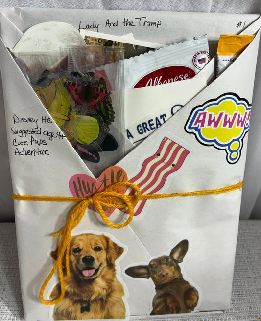 CHILDRENS BLIND DATE WITH A BOOK