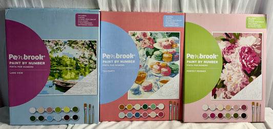 Pembrook Paint by Number Kits 12 x 16 canvas