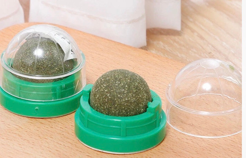 Rotatable Pet Catnip Ball Wall Toys