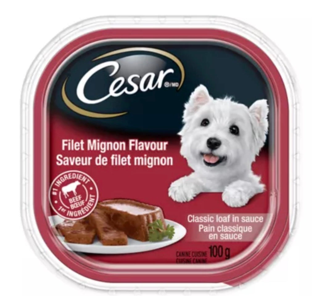 Cesar Adult Wet Dog Food -Filet Mignon