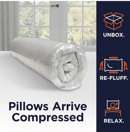 2 PACK of 20 X 20 OEKO TEX DOWN ALTERNATIVE PILLOW INSERTS