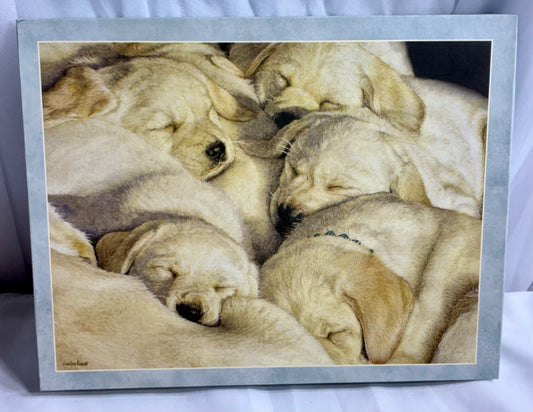 Lang 500 PC Jigsaw Puzzle