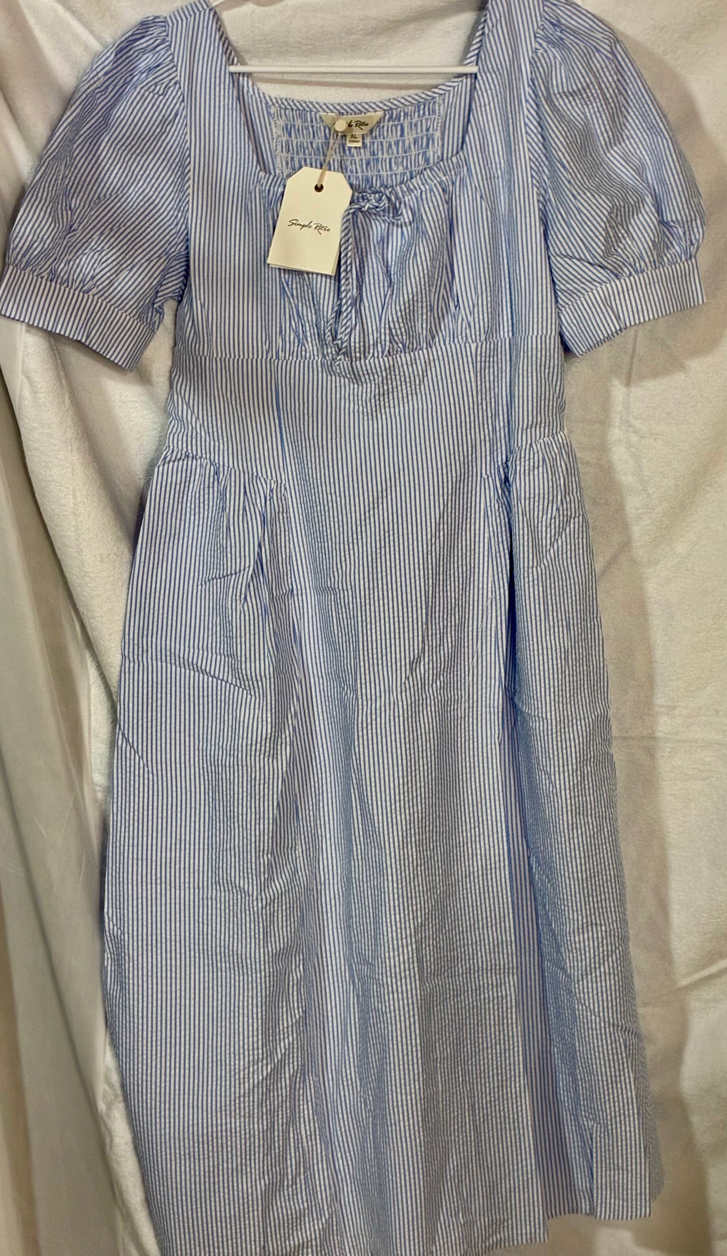 Simple REtro - Blue Gingham Dress