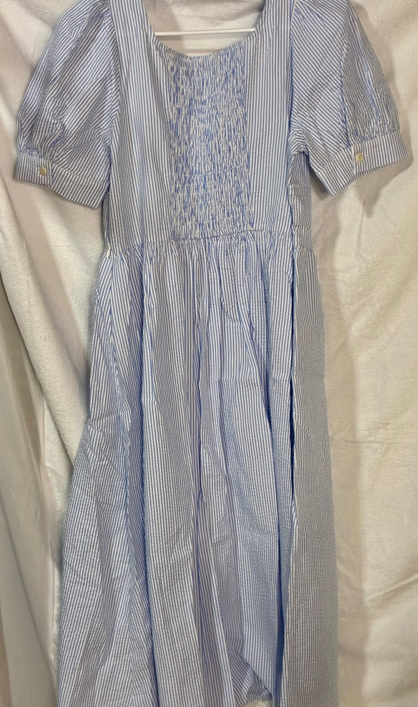 Simple REtro - Blue Gingham Dress