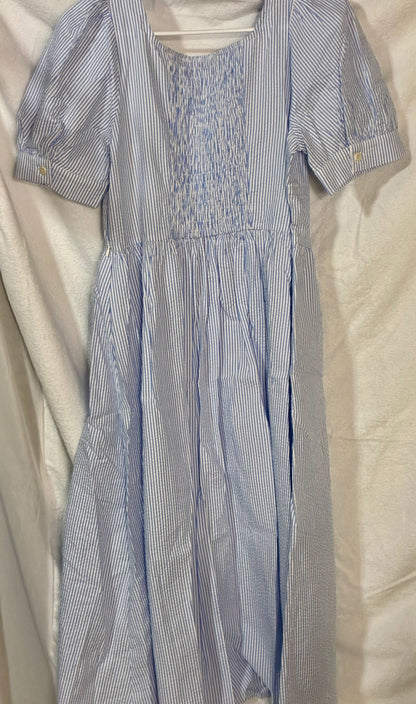 Simple REtro - Blue Gingham Dress