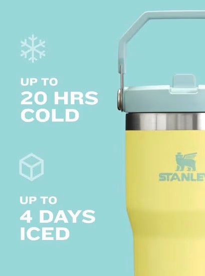 Stanley Tumblers