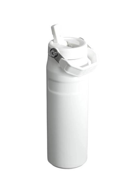Stanley Tumblers