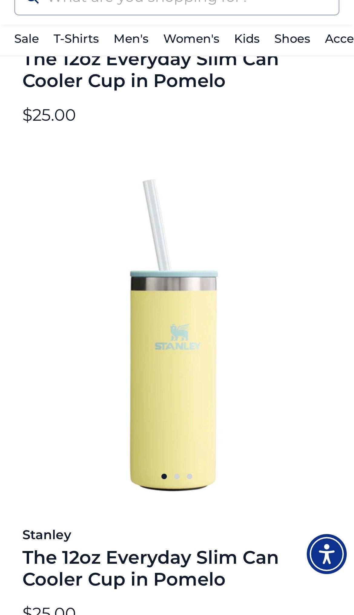 Stanley The Everyday Slim Can Cooler Cup
