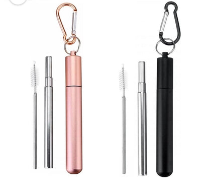 Reusable Collapsible Straw with Case & Brush