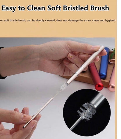Reusable Collapsible Straw with Case & Brush