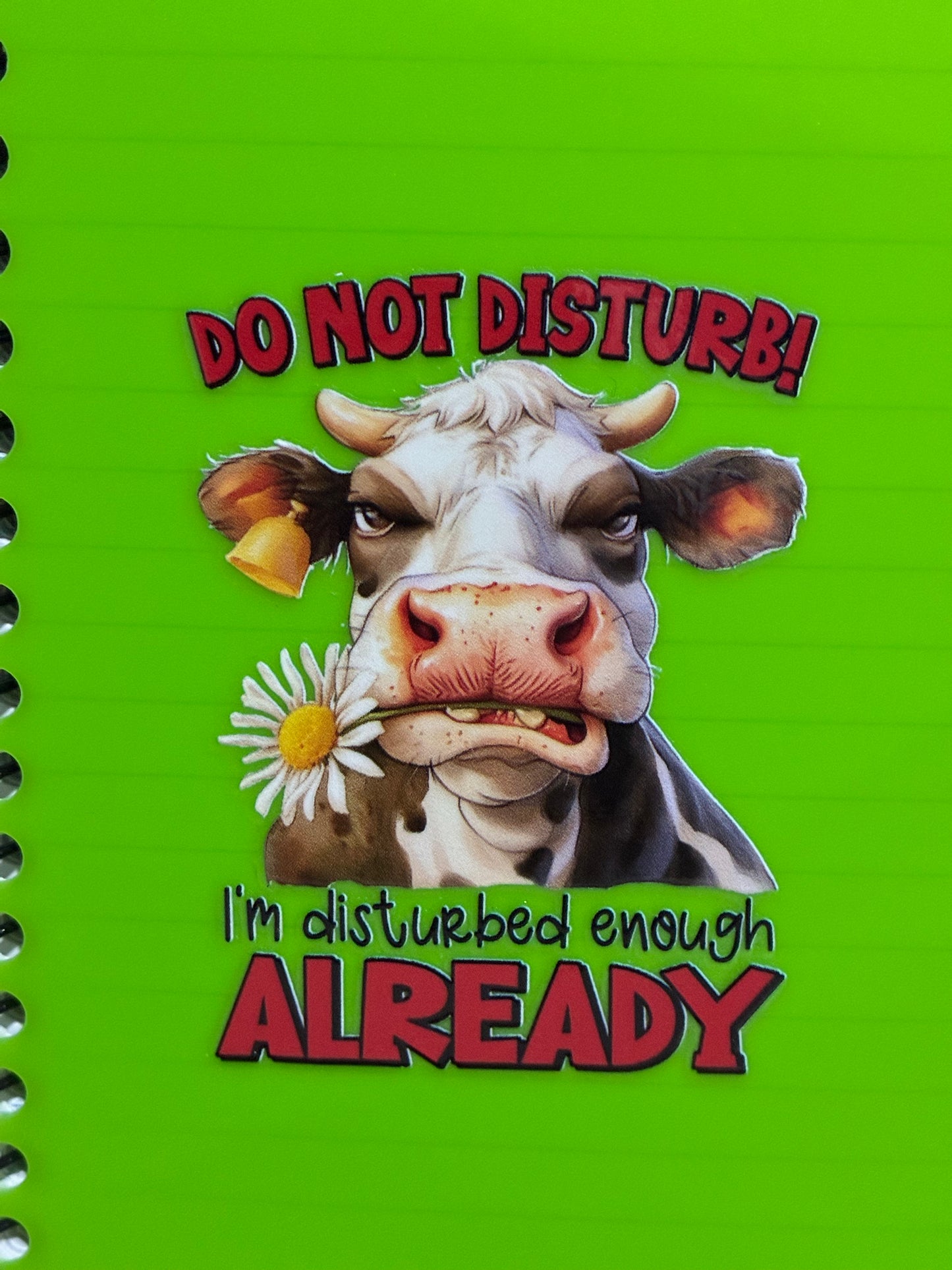 Sassy Personal Notebooks