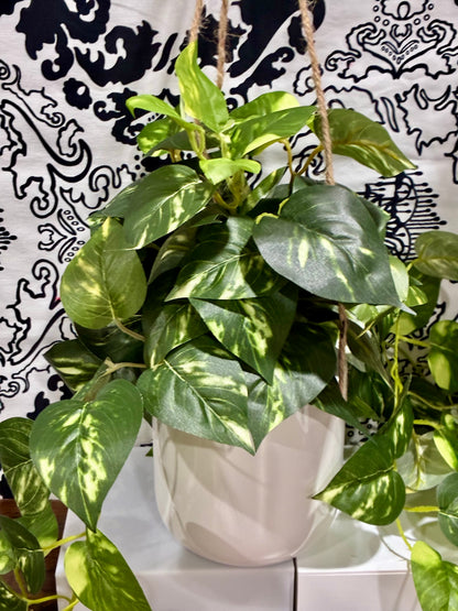 Hanging Fake Plant/ Glass with Sass