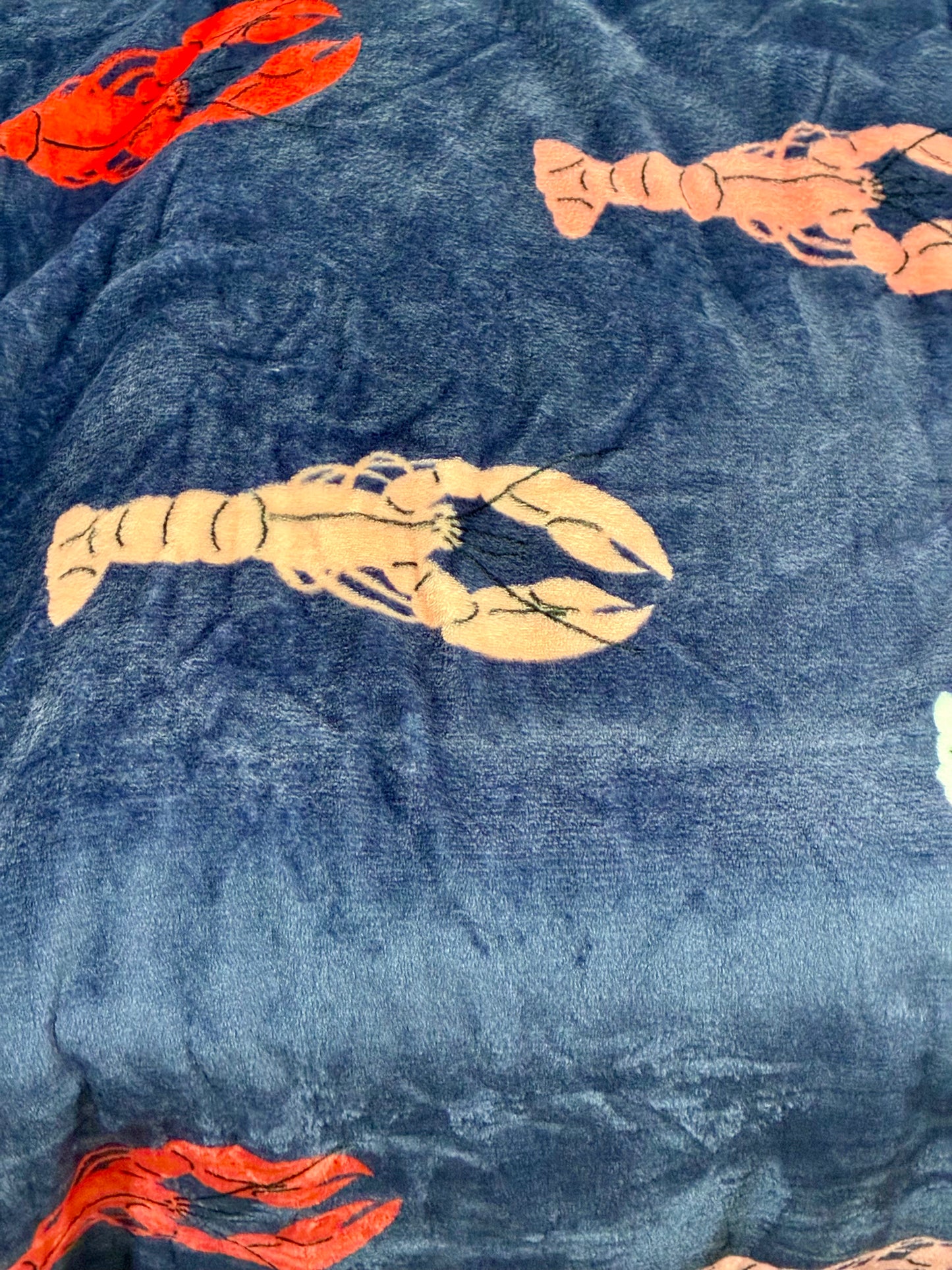 Lobster Fuzzy Throws 50 x 60