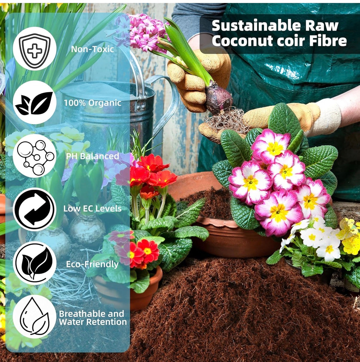 100% Organic Peat Moss