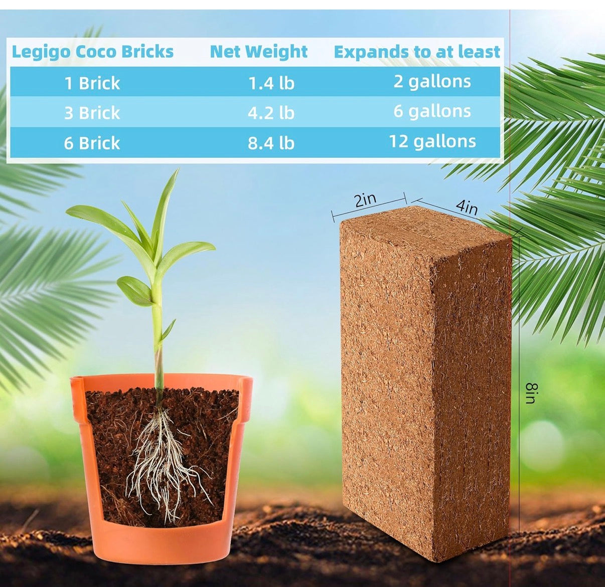 100% Organic Peat Moss
