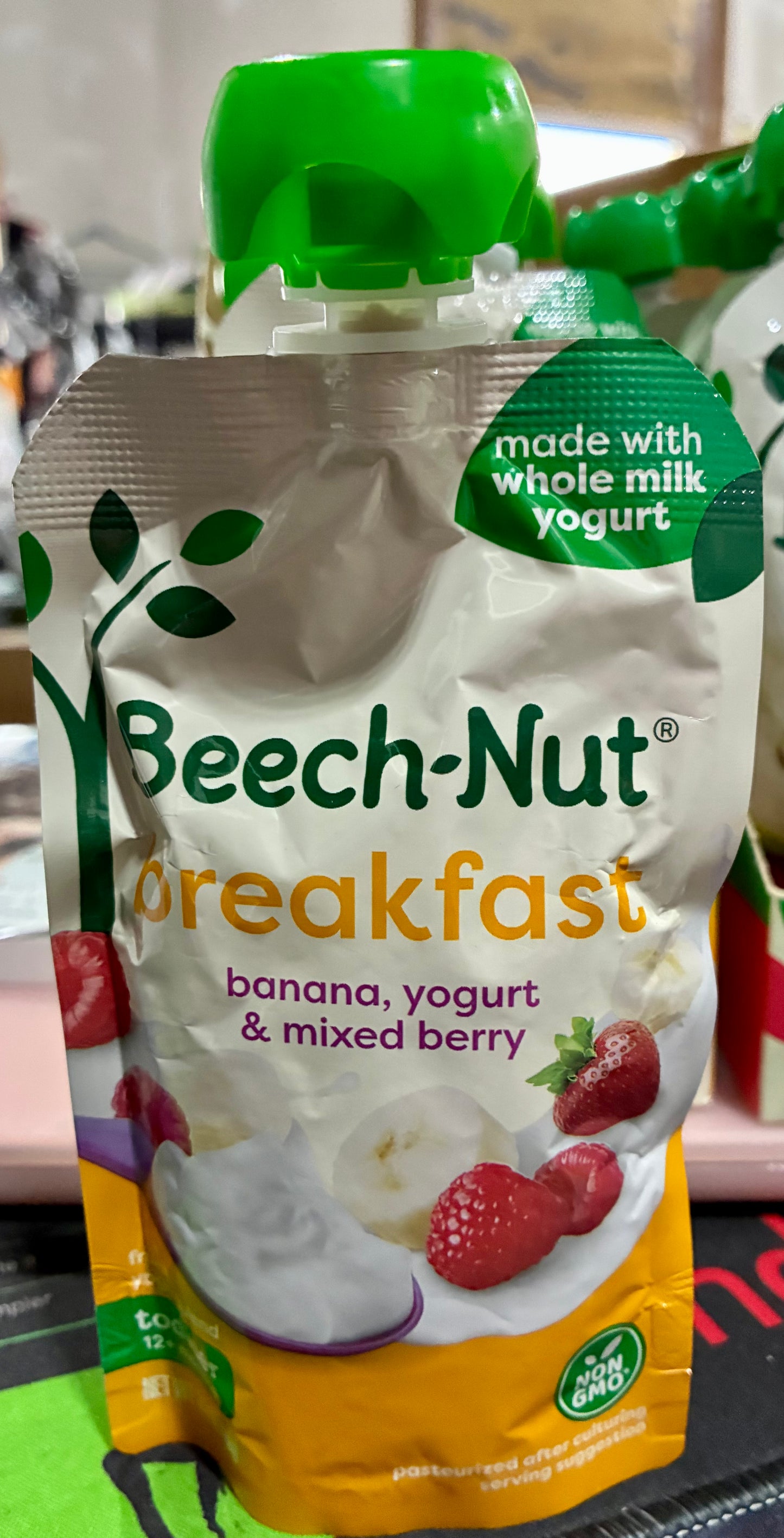 3.5 oz pouch of Beech-Nut Toddler Food