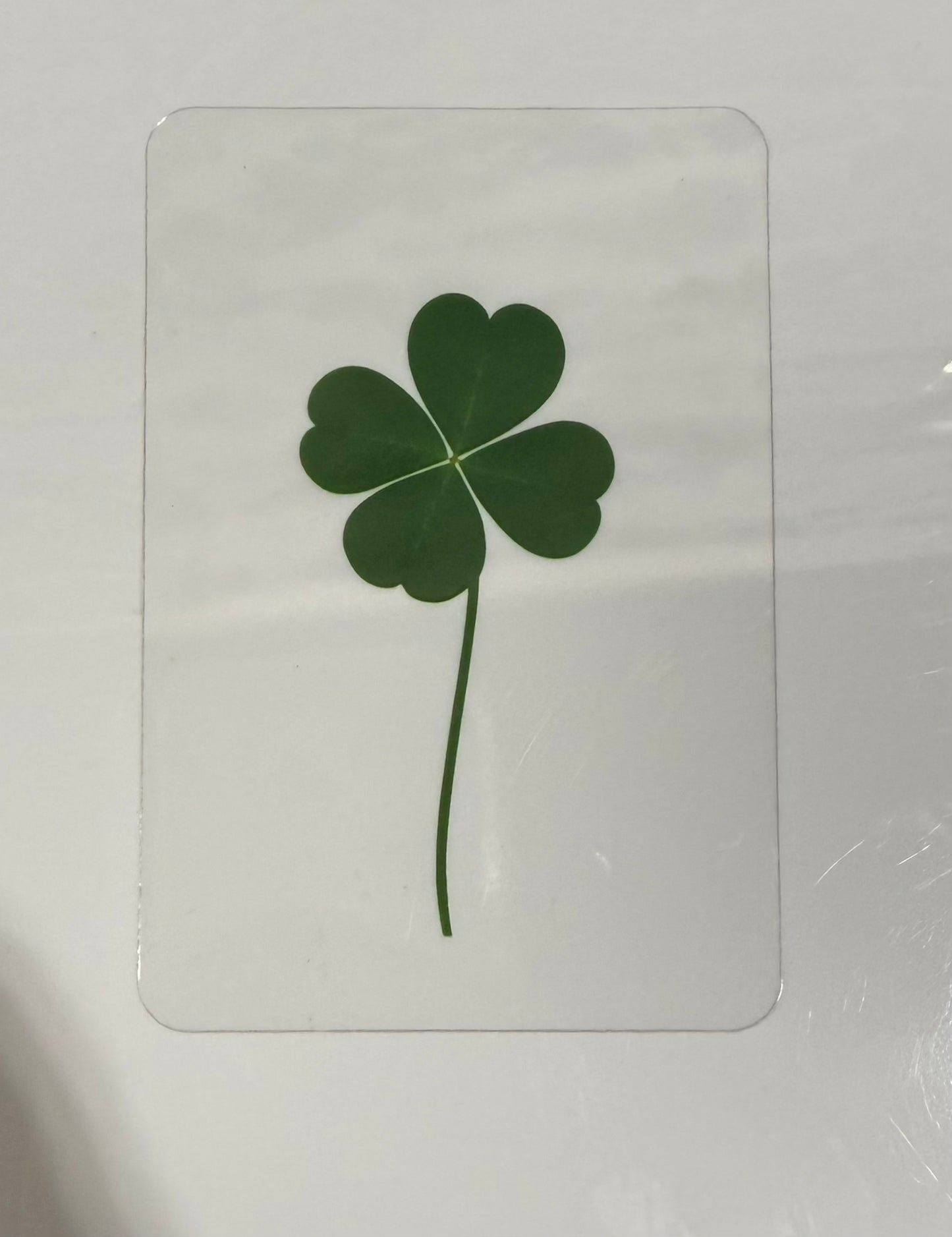 4 Leaf Clover Card