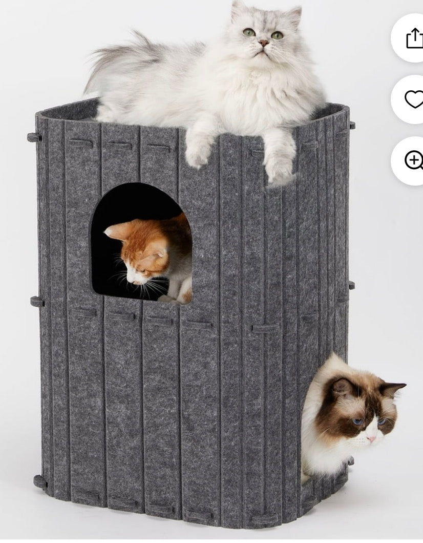 2 STORY CAT CONDO