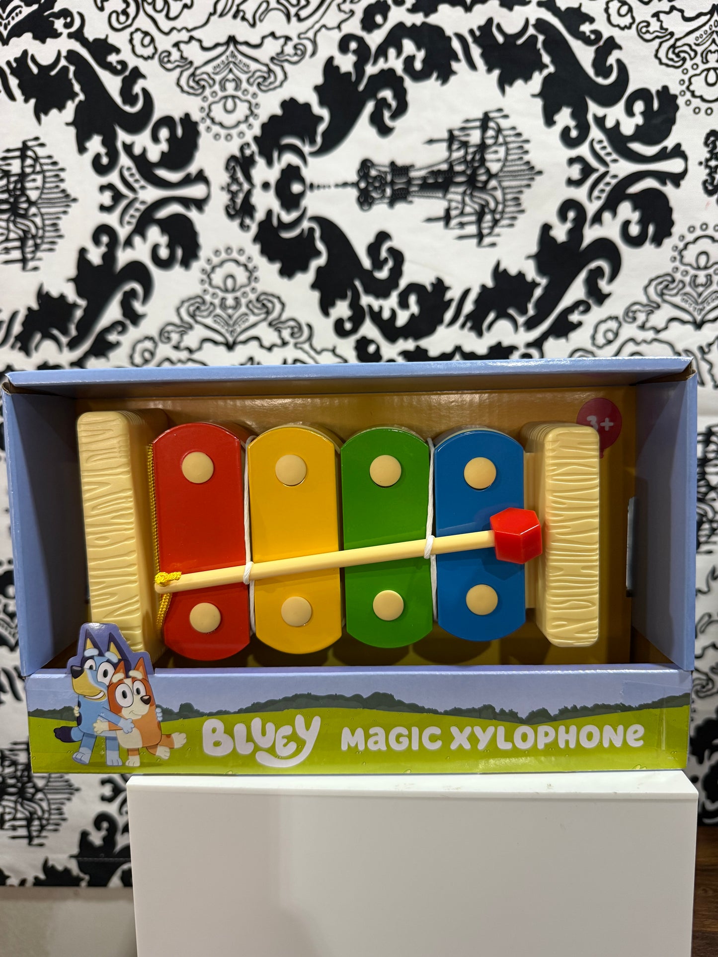 Bluey's Magic Xylophone