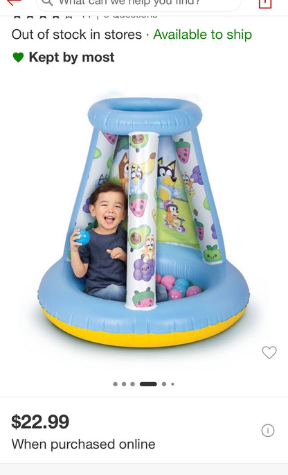 Bluey Adventure Playland