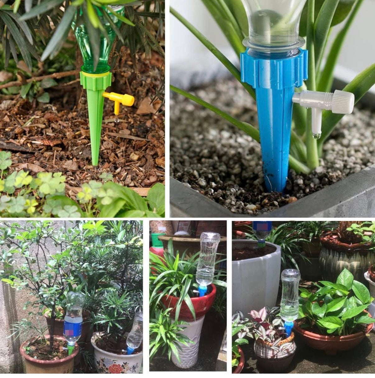 Self Watering Spikes