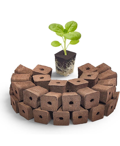Grow Sponge