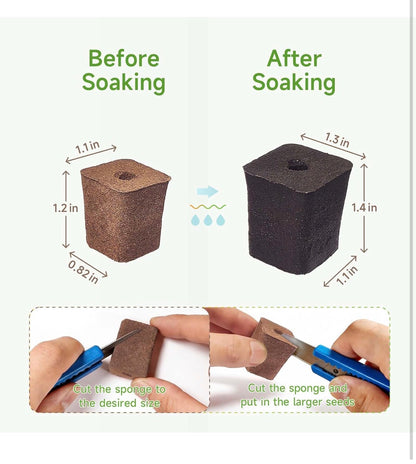 Grow Sponge