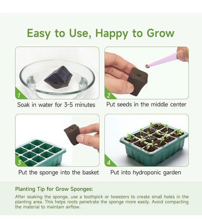 Grow Sponge