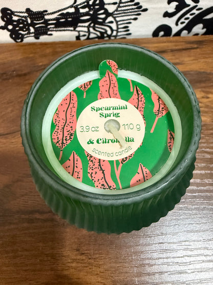 Scented Citronella Candle
