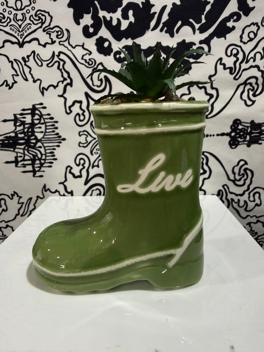 Succulent Decor