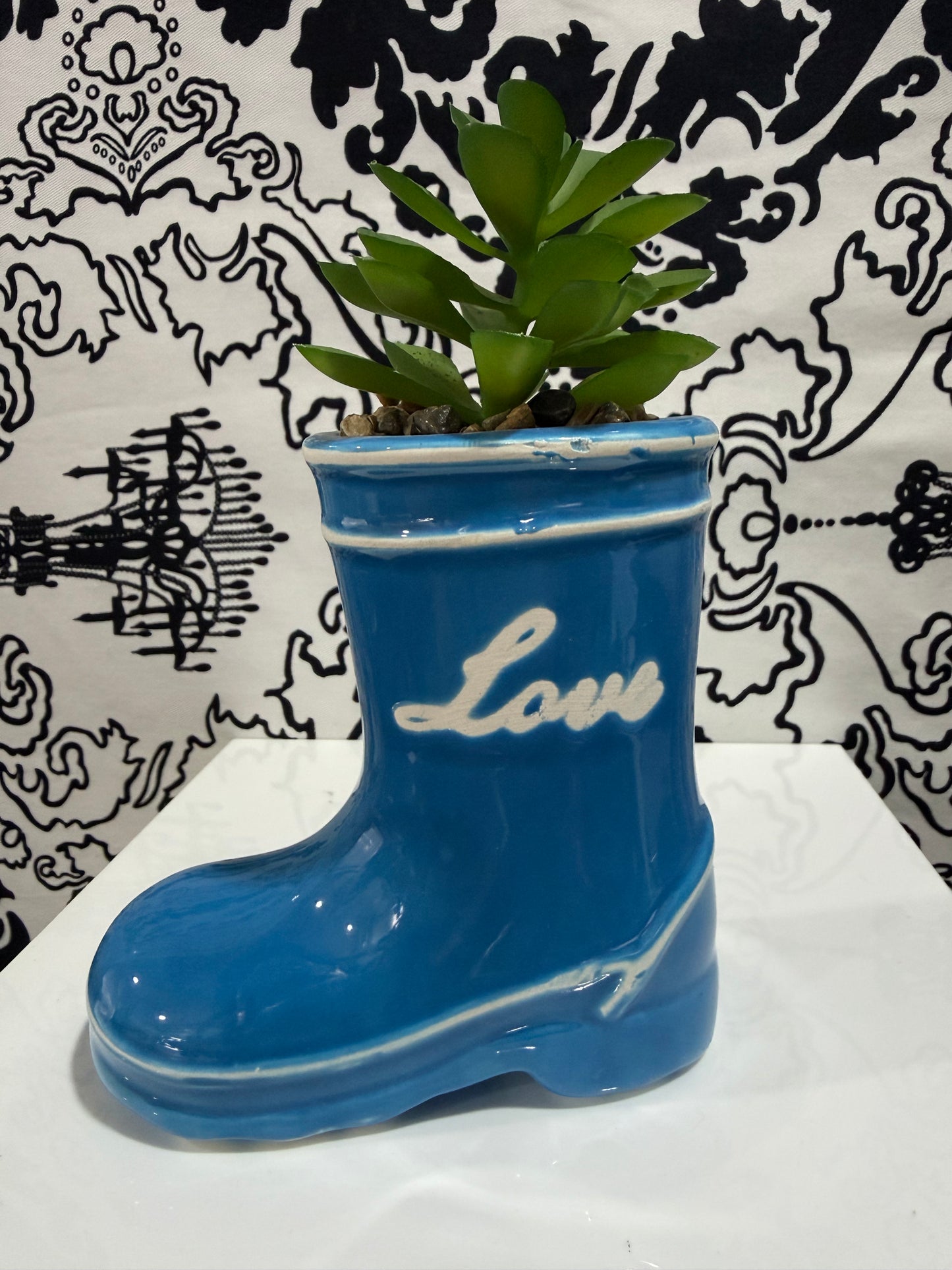 Succulent Decor
